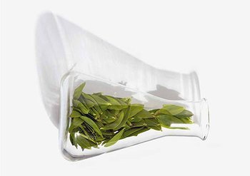 Leaves in jar with shadow