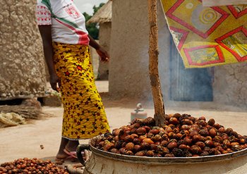 Shea Butter Burkina Faso