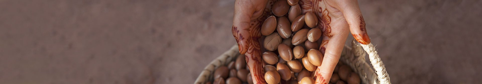 Shea Butter beans in hand Fixed Slider