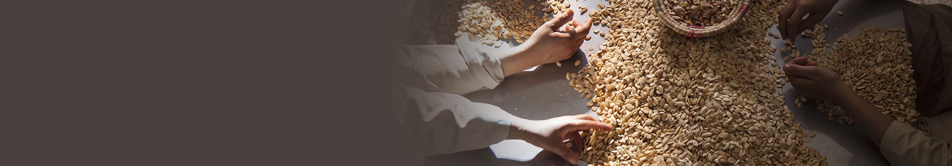 Argan oil and Argan extract background 2