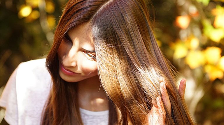Chocolate Brown Hair