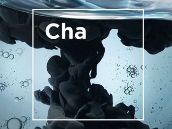 Active Charcoal article image