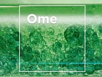 Omega 6 _ Shea Butter Article image