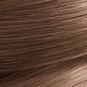 Garnier_Nutrisse_6_Light-Brown_Swatch_small