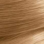 Garnier_Nutrisse_7-3_Dark-Golden-Blonde_Swatch_small