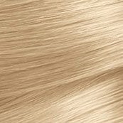 Garnier_Nutrisse_9_Light-Blonde_Swatch_small