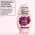 Garnier Grape Moisture conditioner with detangling and hydration benefits