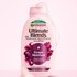 Garnier Grape Moisture shampoo bottle on a pink background